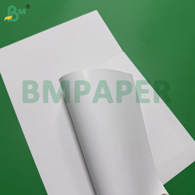 68 lb 80 lb C/1S Premium einseitig beschichtetes Papier 25 Zoll x 38 Zoll weiße Leerblätter