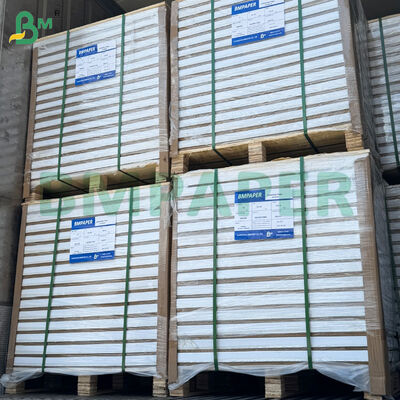 210 g/m² beidseitig glänzende C2S Kunstdruckpapierrollen 31*43 Zoll