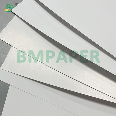 250 g 300 gm High Whiteness SBS Board für Zigarettenkoffer 720 x 1020 mm