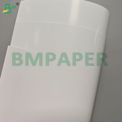 210gsm/230gsm C2S Coated Glossy Art Paper Sheets 31X43 inch