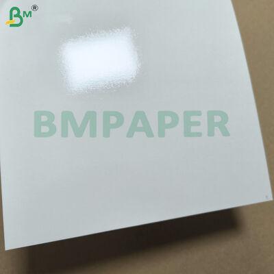 PET-beschichtetes weißes Papier für Essensgeschirr und Geschirr