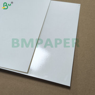 PET-beschichtetes weißes Papier für Essensgeschirr und Geschirr