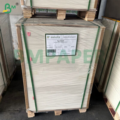 300 g/m² ungebleichtes Zuckerrohr-Bagasse-Zellstoffpapier, biologisch abbaubar, zertifiziert, 787 mm x 1092 mm