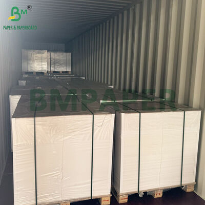 42gsm 45gsm Non-Stick White Silicone Paper Sheet 500mm X 600mm for Air Fryer Use