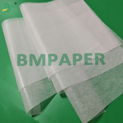 20 g Papier für Zwiebeln Tortilla Trennpapier nicht klebrig 12' x 12' Hitzebeständig