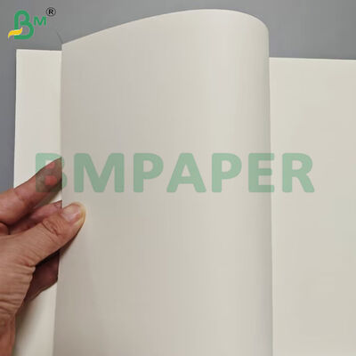 Lebensmittelbehälter Papierblätter 190 gm + PE-Beschichtung