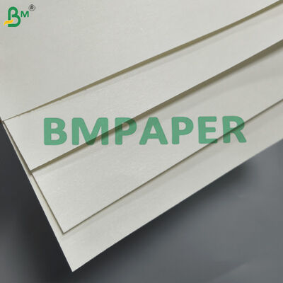 Food Grade PE Coated High Stiffness Cupstock Waterproof Leak Proof
