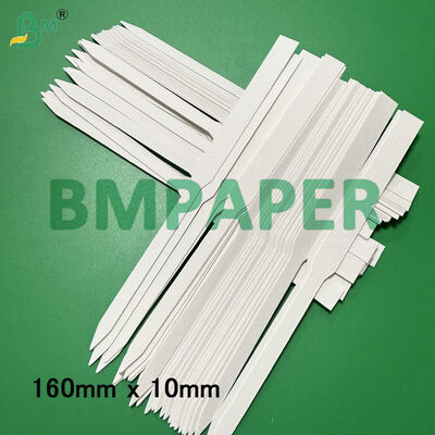 Weiße Duftprobenpapierstreifen, Absorptionsplatte 160 mm X 10 mm 170 mm X 9 mm