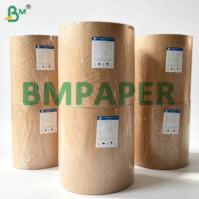 Tortilla-Wrap-Papier mit hoher Nassfestigkeit, 25 g/m², 30 g/m² & 36 Zoll Rollen
