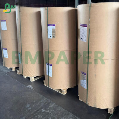 50gsm Two Side Silicone Coated Paper Rolls for Steaming Baking