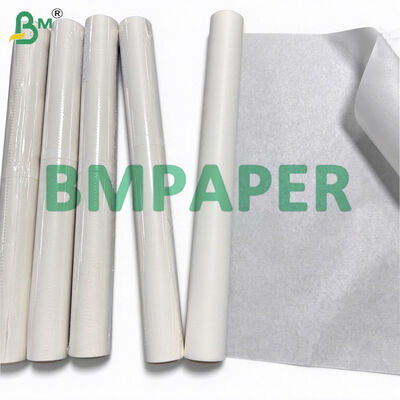 38gsm 40gsm Parchment Baking Paper Rolls 15in X 24ft/30ft/36ft/200ft