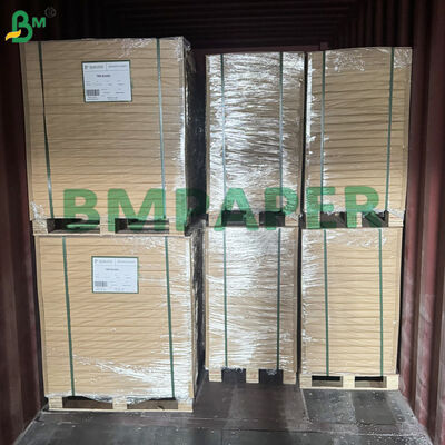 Sugar Cane Paper Tree - Free Paper Uncoated with Vellum Finish