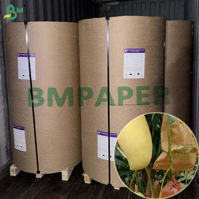 Doppellagiges wasserdichtes Frucht-Schutzpapier 56 g/m² für Mango 450 mm